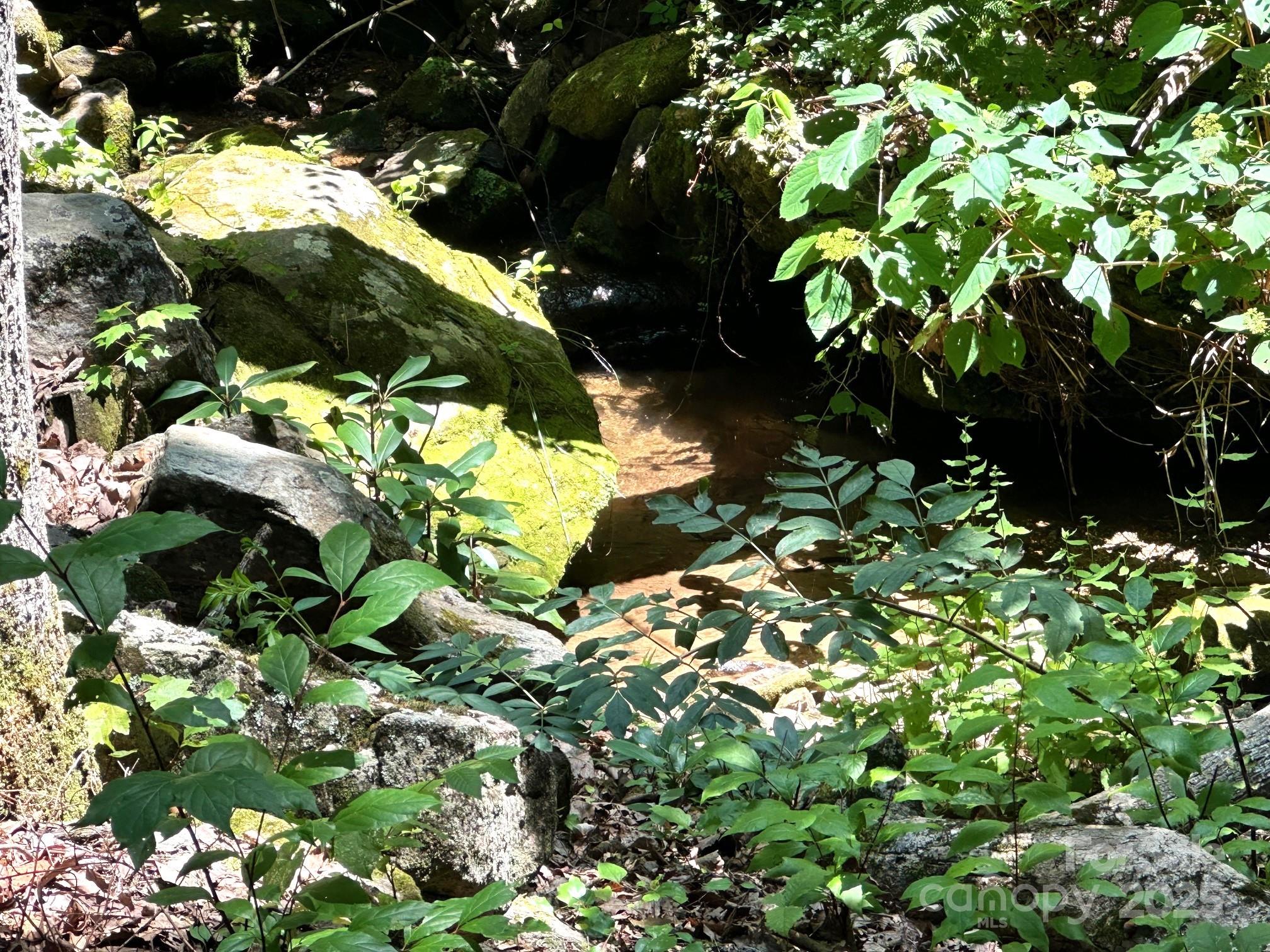 184 N Poplar Drive Lake Lure NC 28746