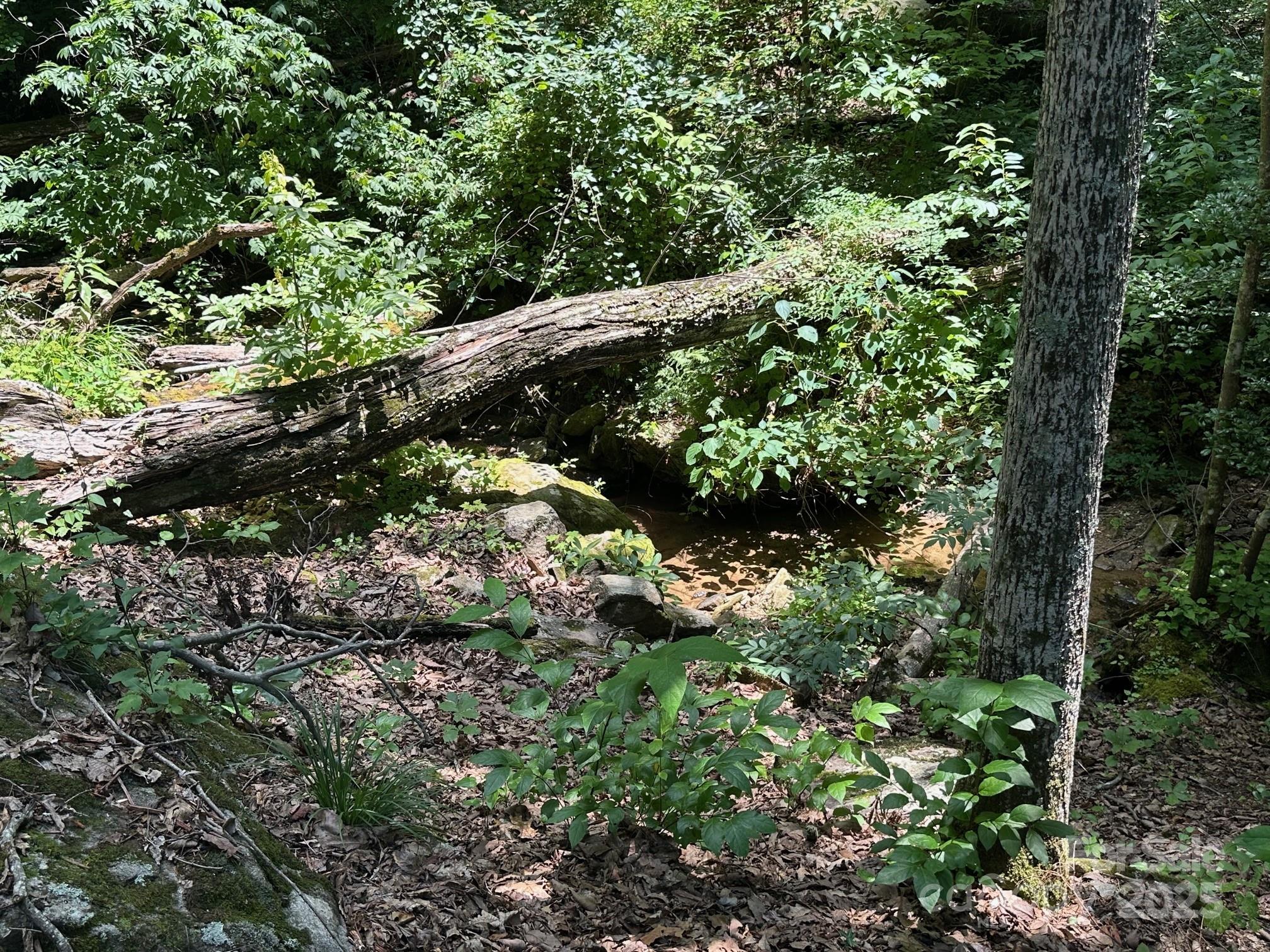 184 N Poplar Drive Lake Lure NC 28746