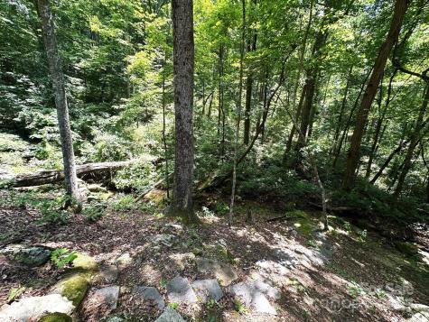 184 N Poplar Drive Lake Lure NC 28746