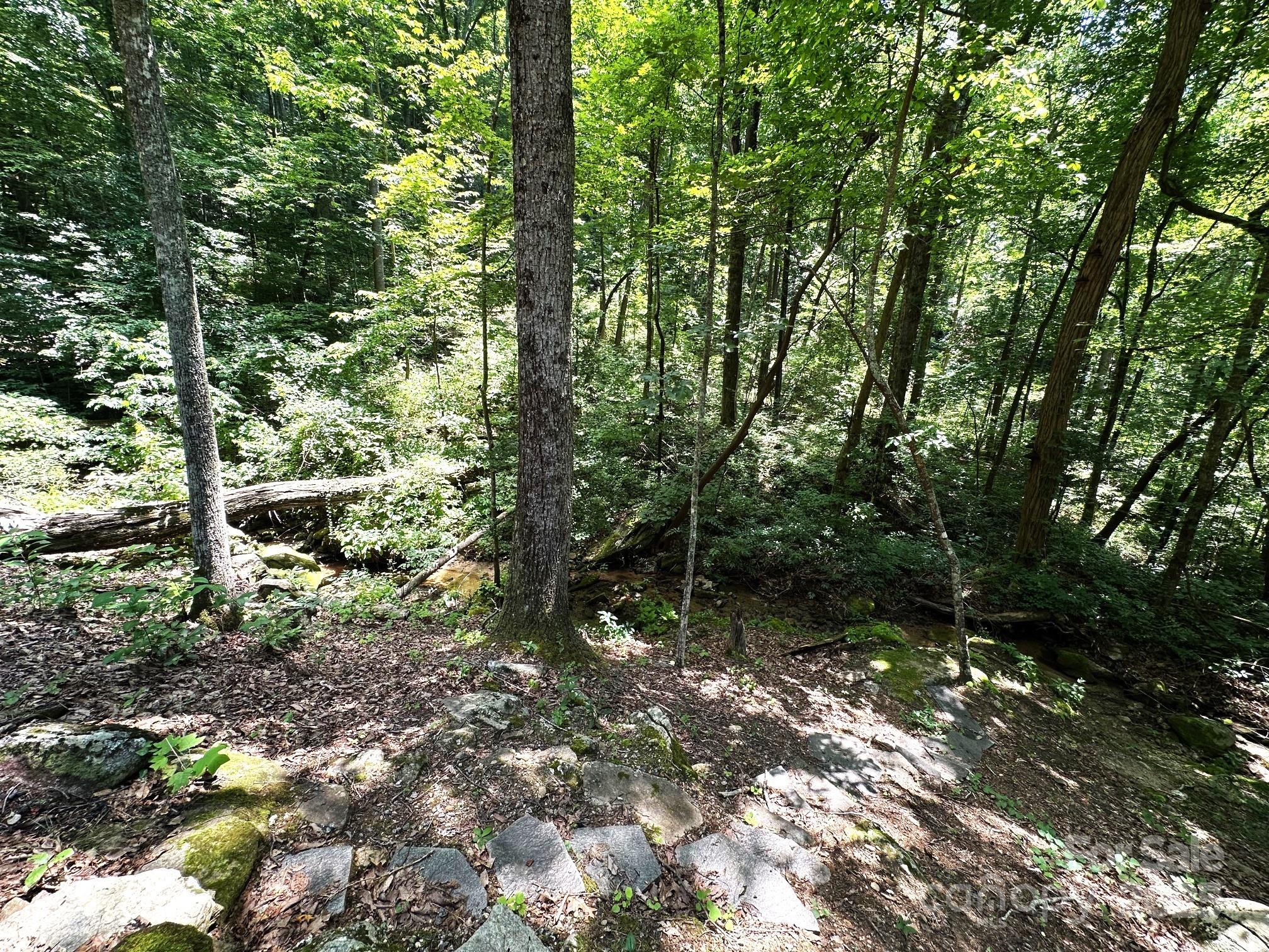 184 N Poplar Drive Lake Lure NC 28746