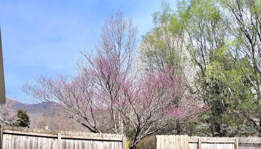 35 Cotton Creek Circle Black Mountain NC 28711