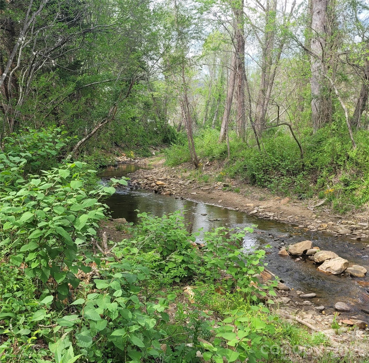 35 Cotton Creek Circle Black Mountain NC 28711