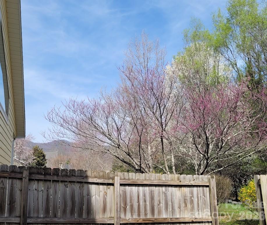 35 Cotton Creek Circle Black Mountain NC 28711