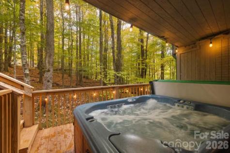 125 Pond Creek Road Beech Mountain NC 28604