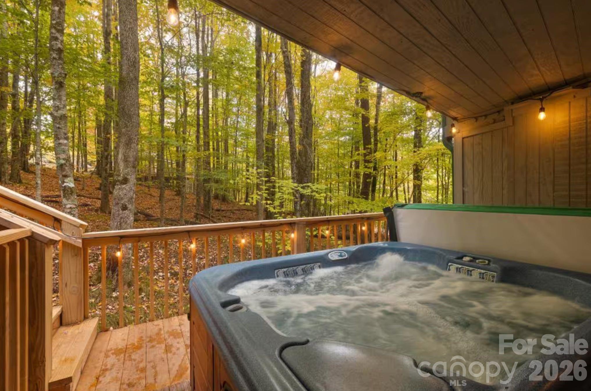 125 Pond Creek Road Beech Mountain NC 28604