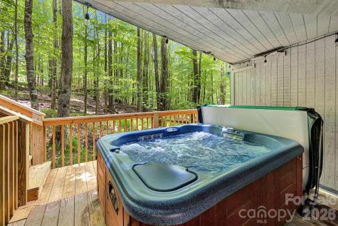 125 Pond Creek Road Beech Mountain NC 28604