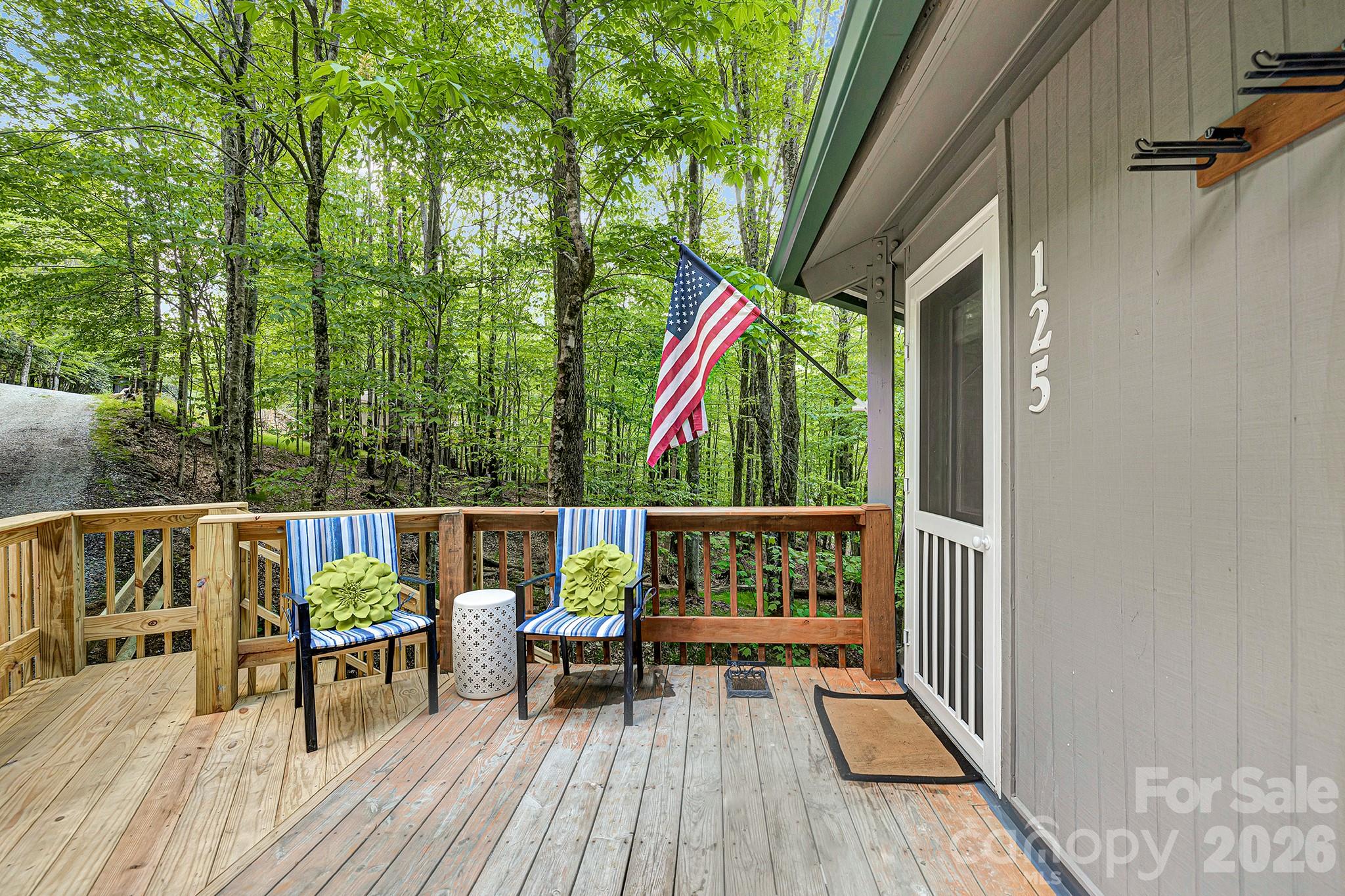 125 Pond Creek Road Beech Mountain NC 28604