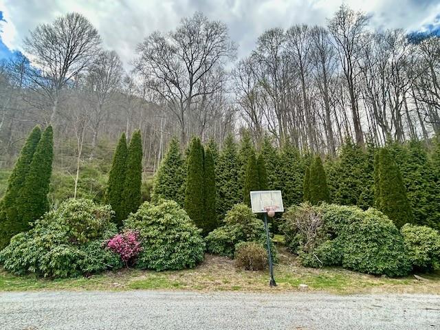 330 Potts Drive Waynesville NC 28785