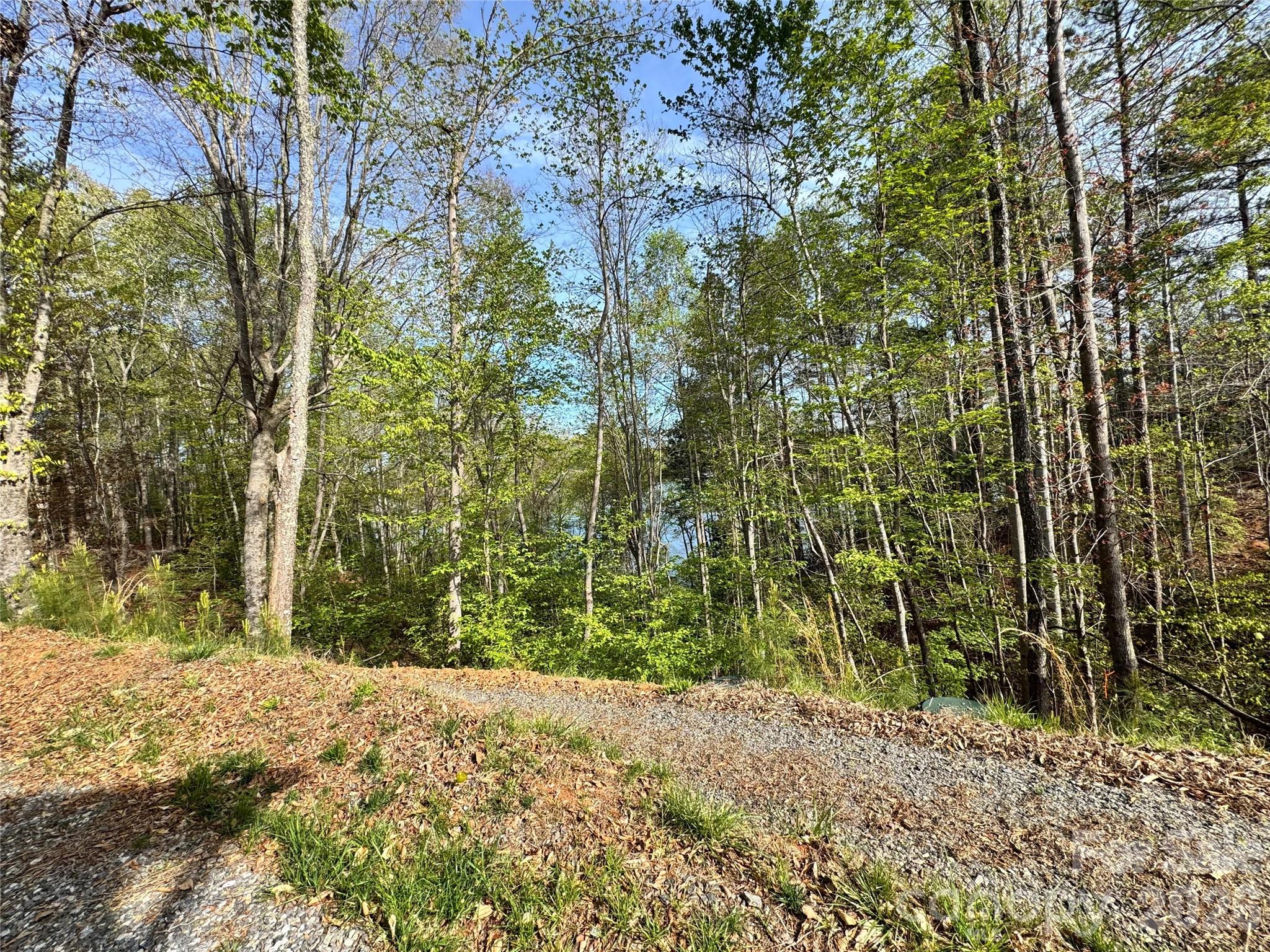 2371 W Paradise Harbor Drive Connelly Springs NC 28612
