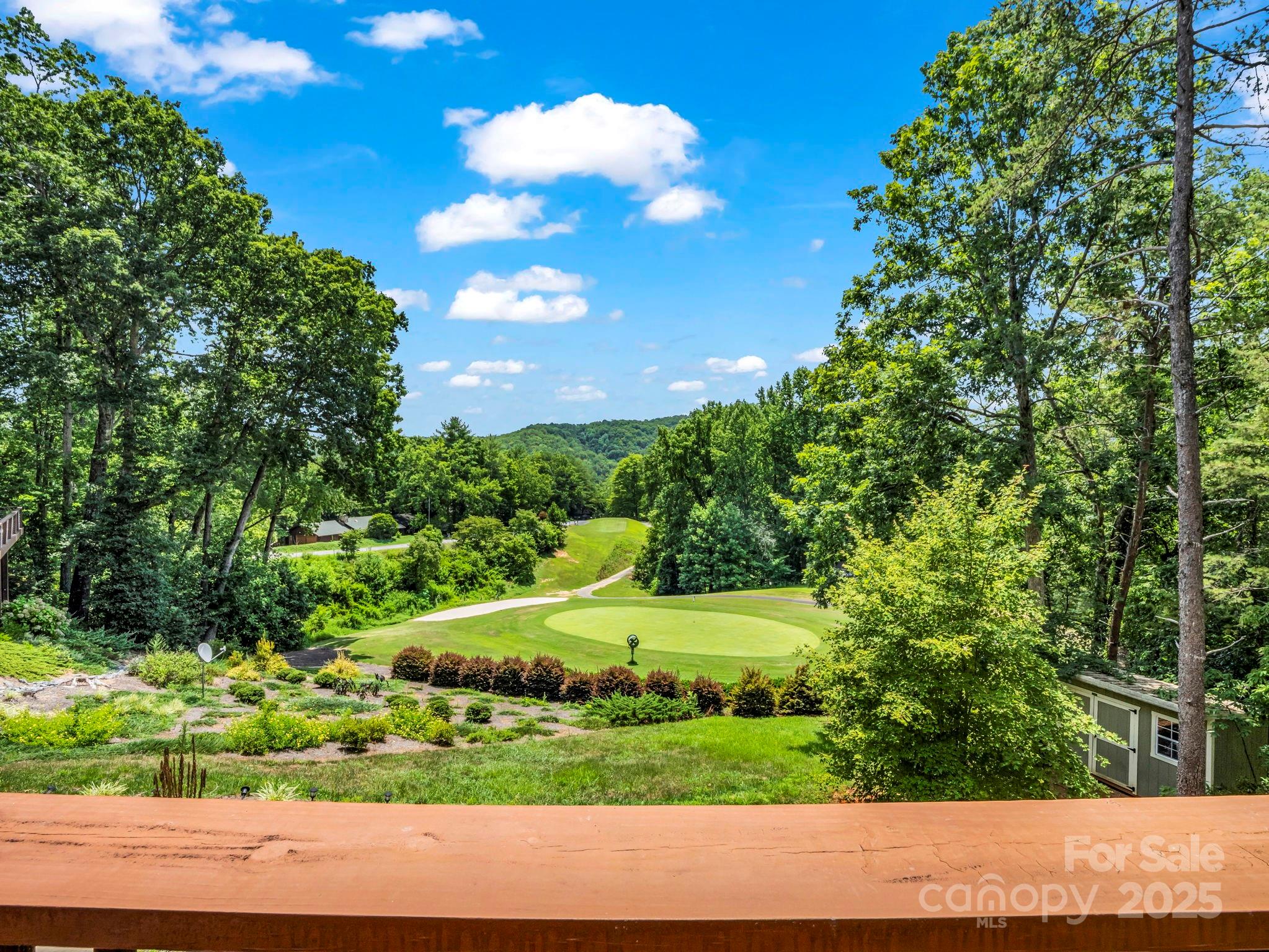 188 Fern Loop Lake Lure NC 28746