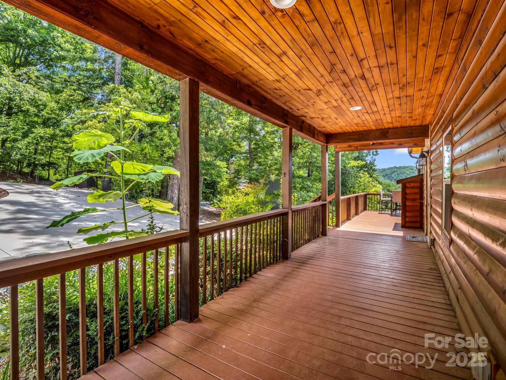 188 Fern Loop Lake Lure NC 28746