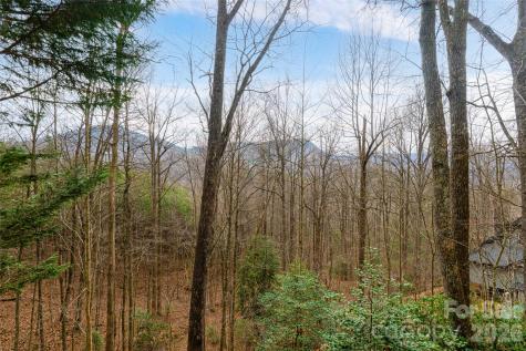 31 Timber Park Drive Black Mountain NC 28711