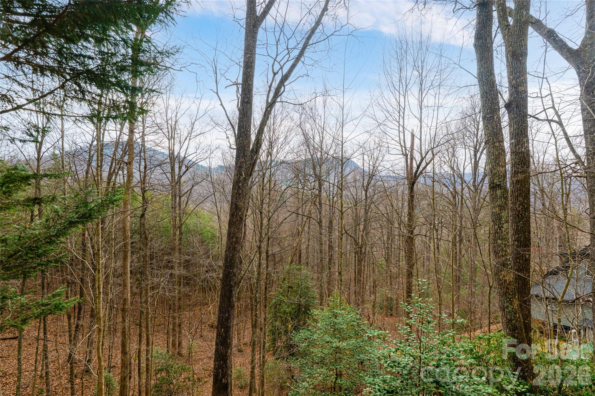 31 Timber Park Drive Black Mountain NC 28711