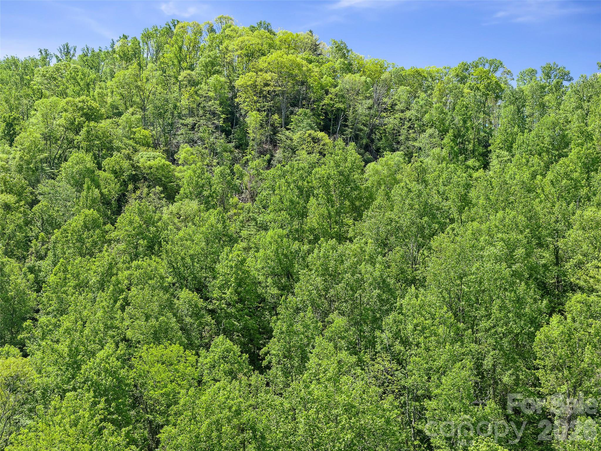 615 Fred Sparks Road Bakersville NC 28705