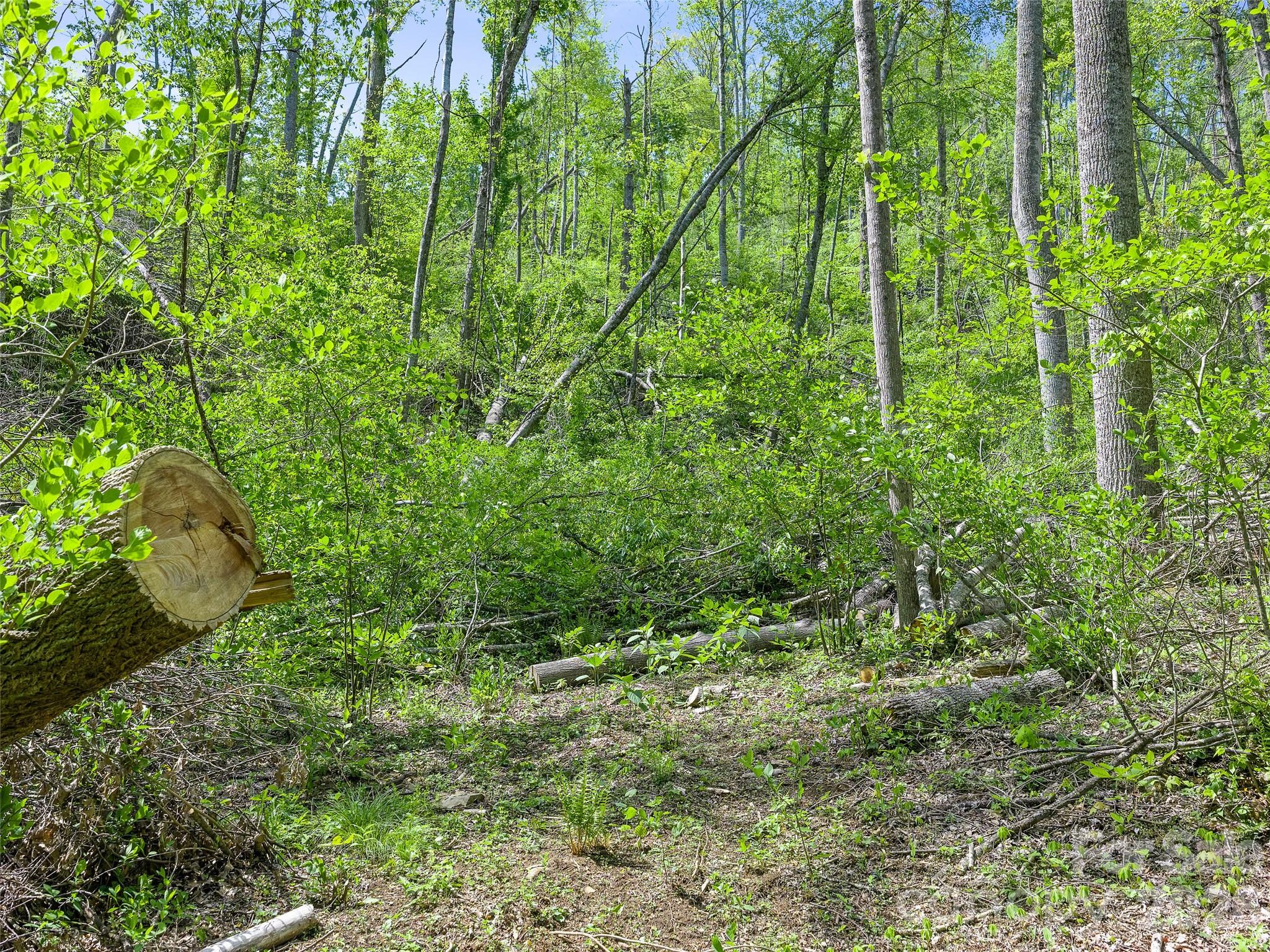 615 Fred Sparks Road Bakersville NC 28705