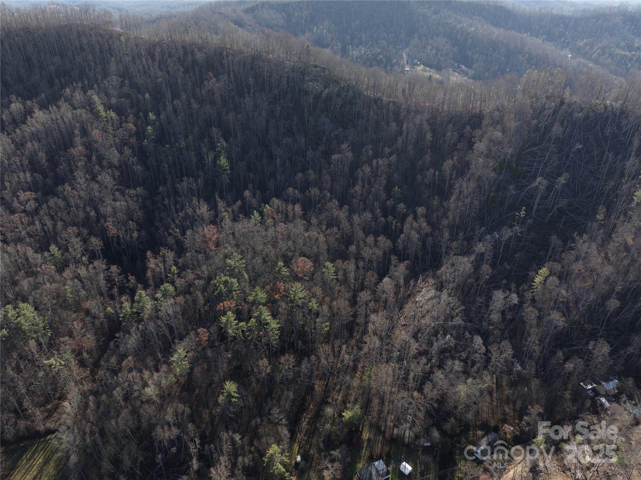 615 Fred Sparks Road Bakersville NC 28705