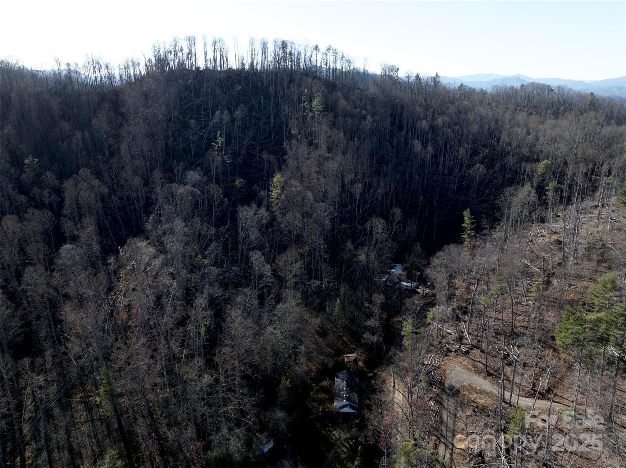 615 Fred Sparks Road Bakersville NC 28705