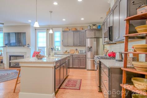 560 Sweet Birch Park Lane Black Mountain NC 28711
