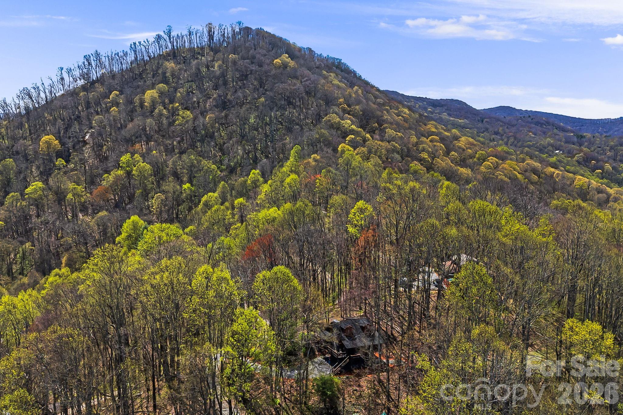 2977 Heath Peak Road Waynesville NC 28785