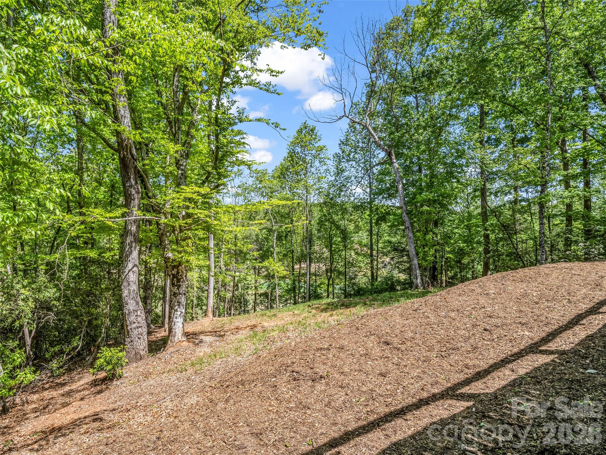 194 Summer Morning Court Lake Lure NC 28746