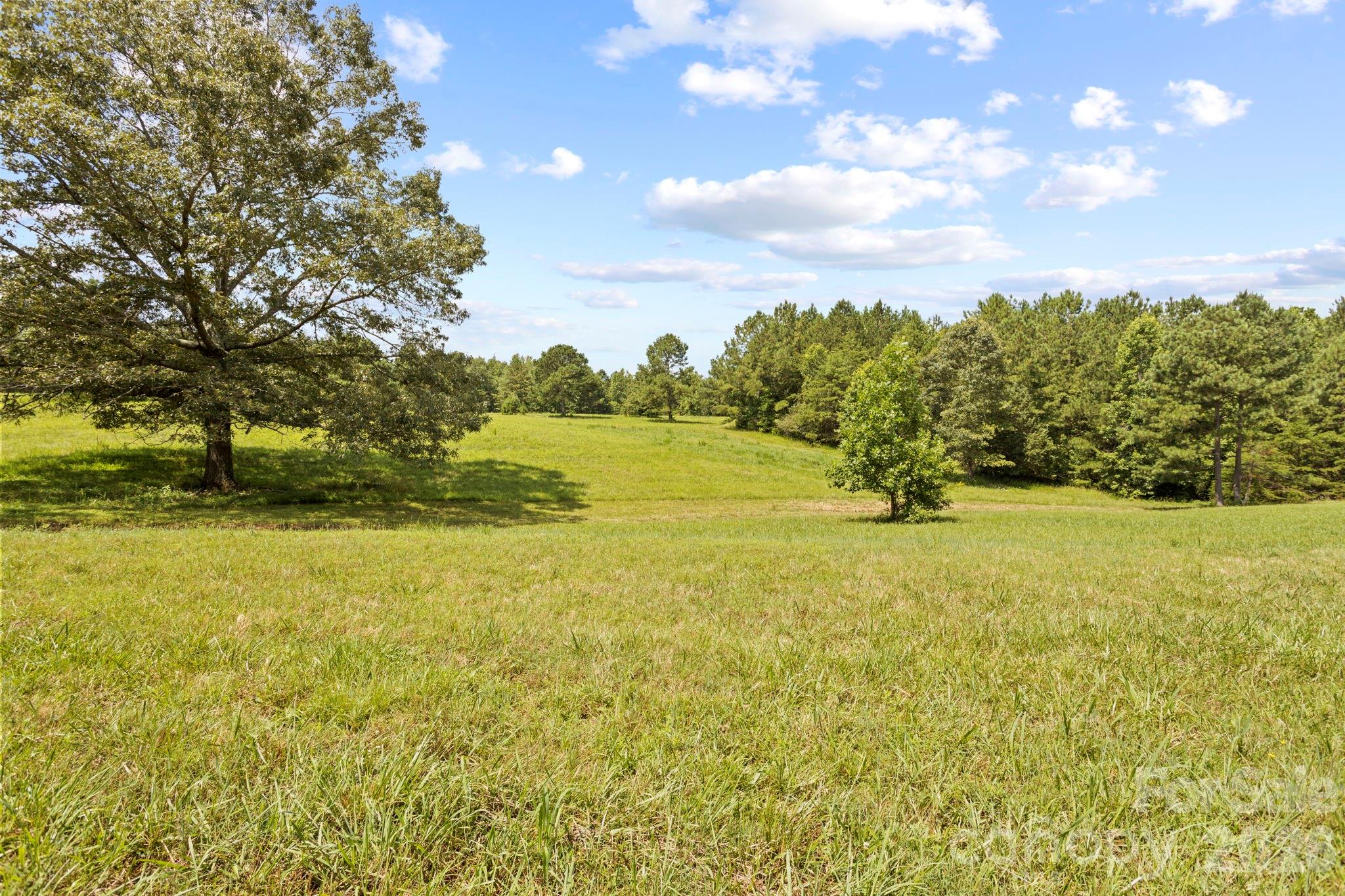 1896 E Green Creek Drive Tryon NC 28782