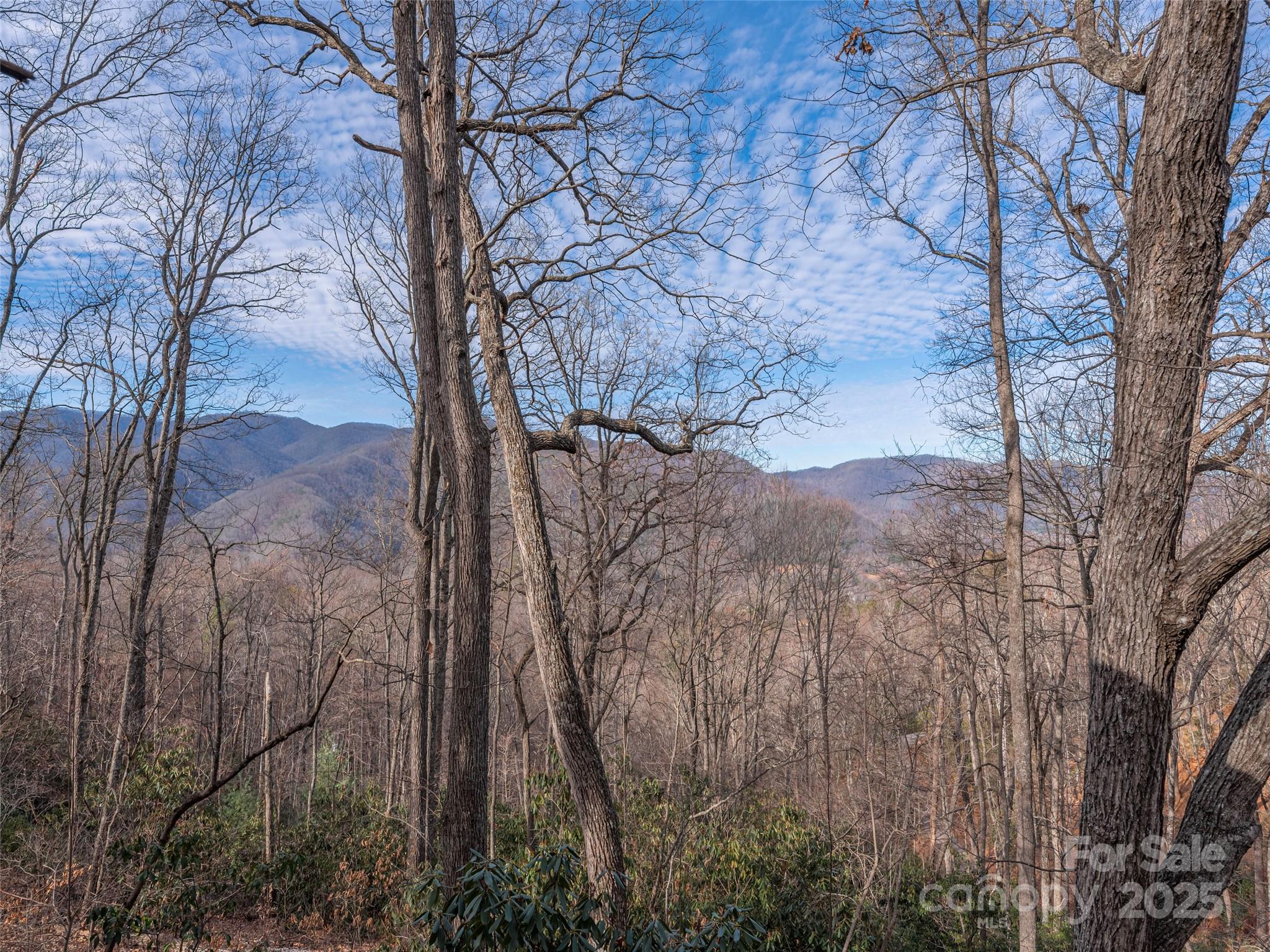 1392 Mount Chalet Road Canton NC 28716