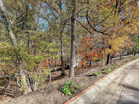 25040 Timberlake Drive Tega Cay SC 29708