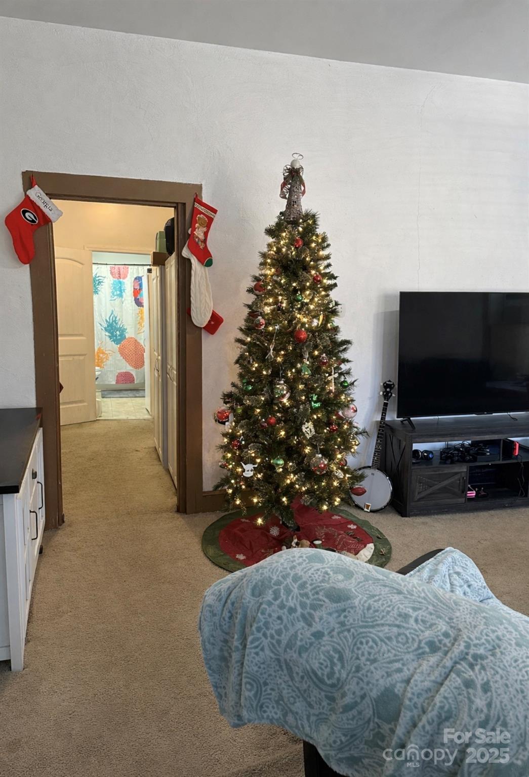 220 E Catawba Avenue Mount Holly NC 28120