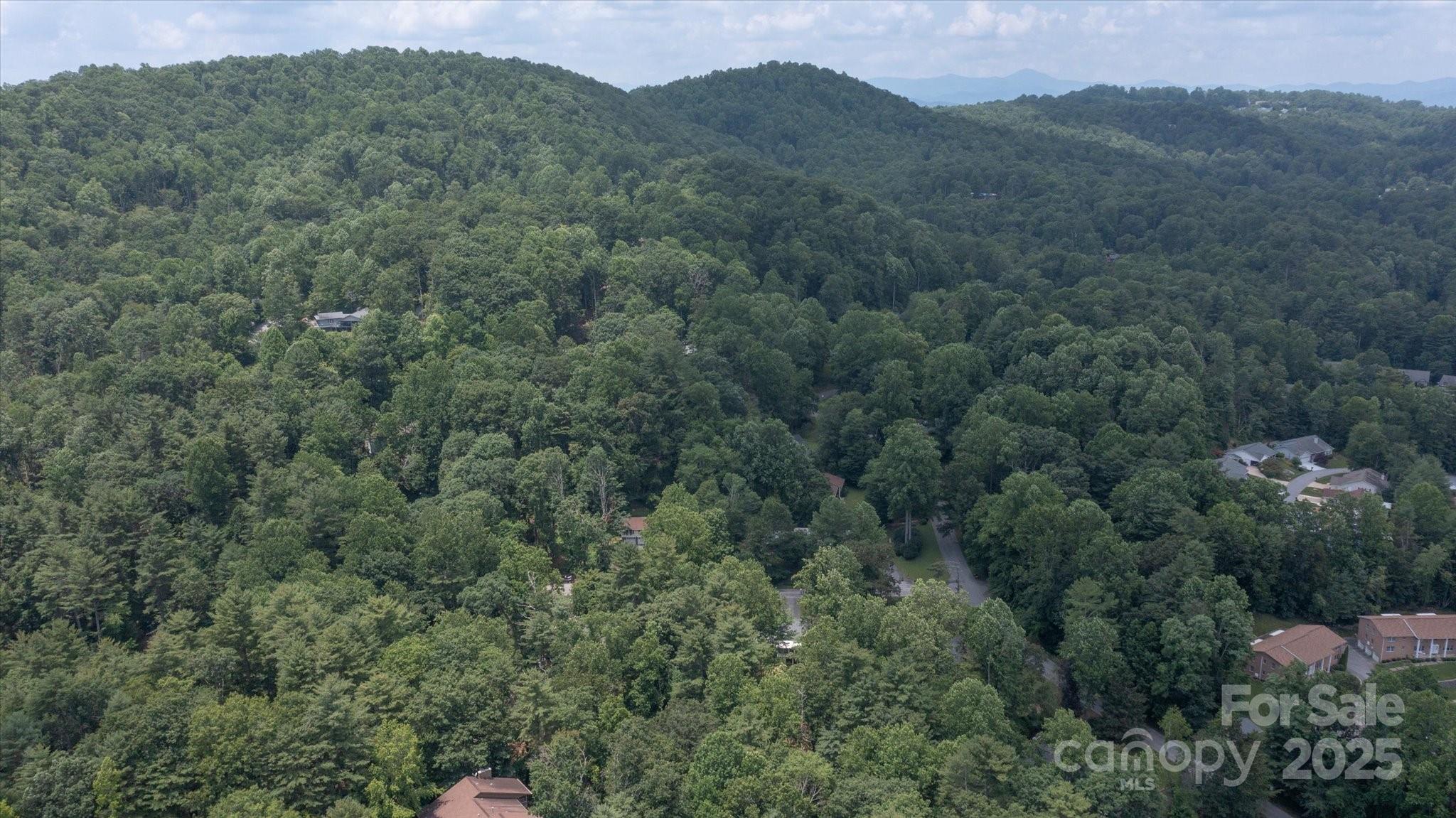 104 Britton Avenue Hendersonville NC 28791