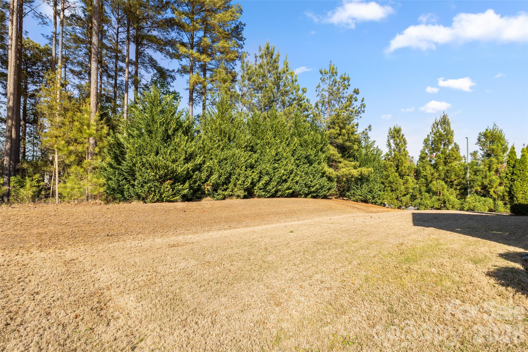 1002 Falling Leaf Street Indian Land SC 29707
