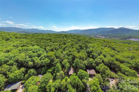 38 Nixon Terrace Asheville NC 28805
