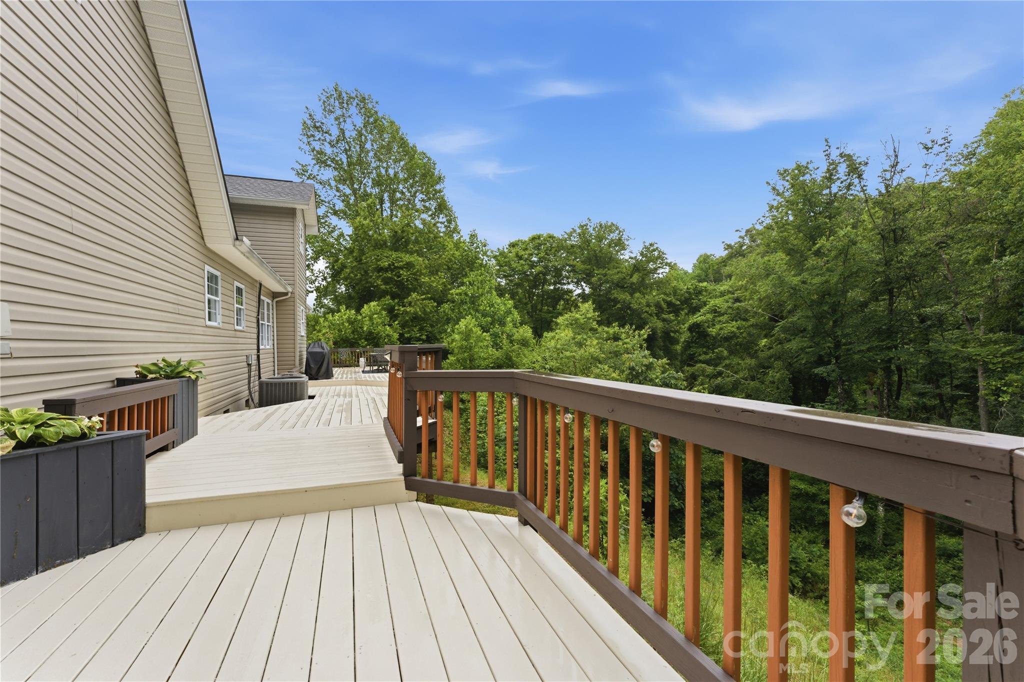 15 Racoon Point Canton NC 28716