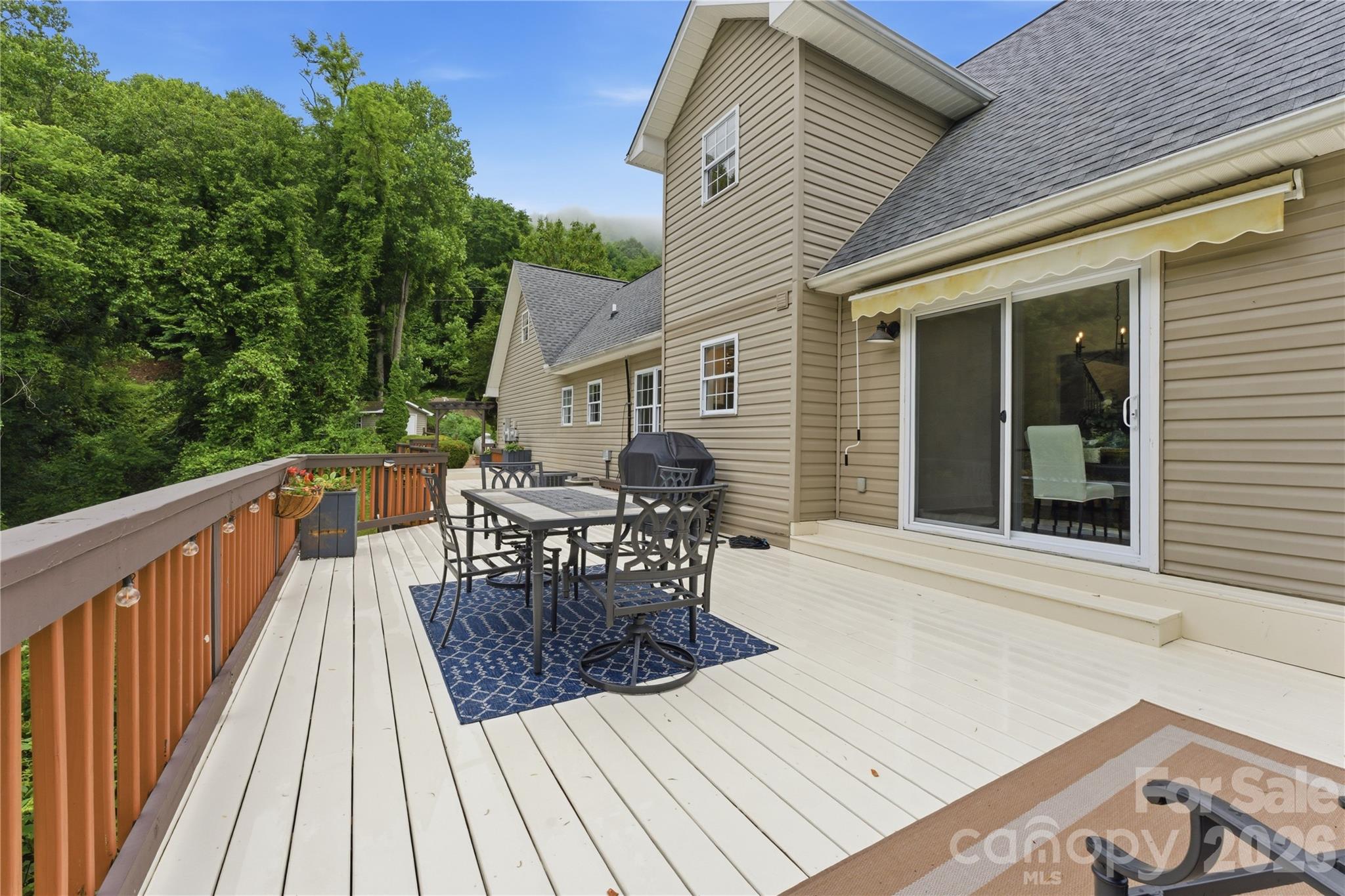 15 Racoon Point Canton NC 28716