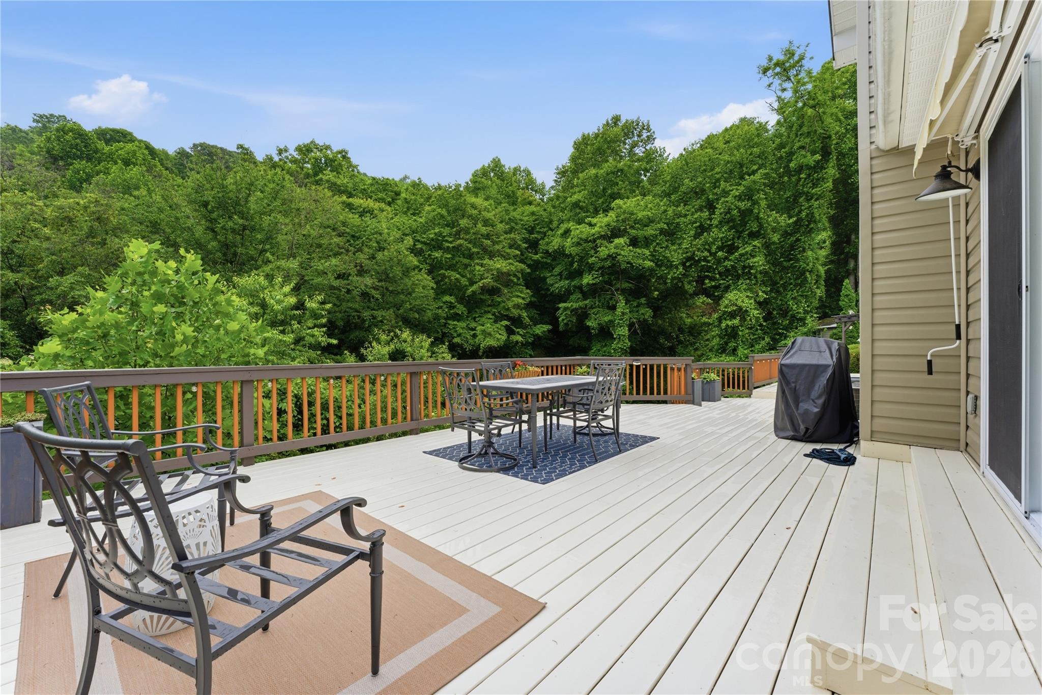 15 Racoon Point Canton NC 28716