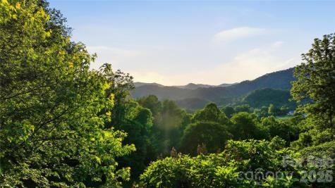 15 Racoon Point Canton NC 28716