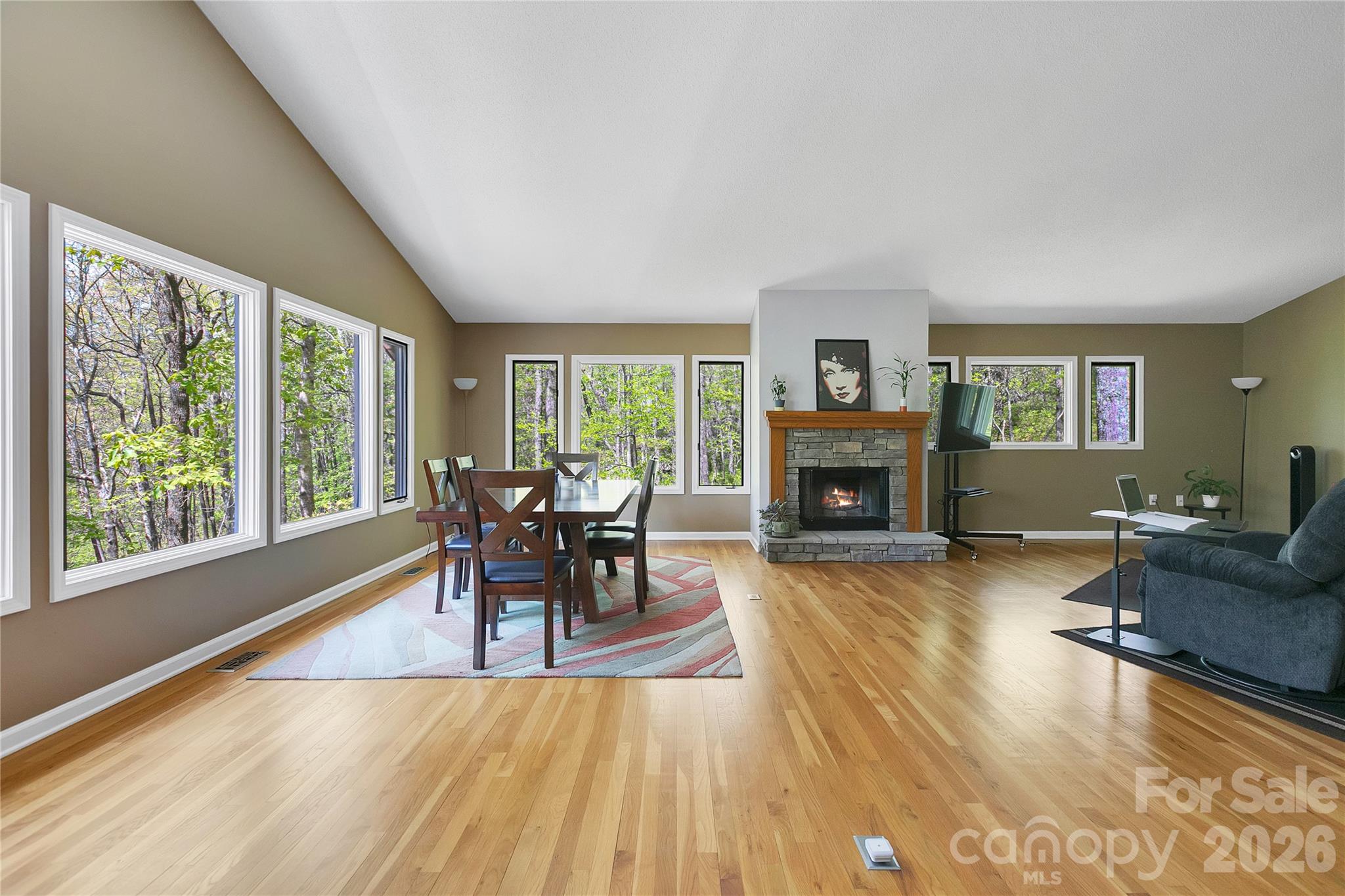 71 Elseetos Drive Brevard NC 28712