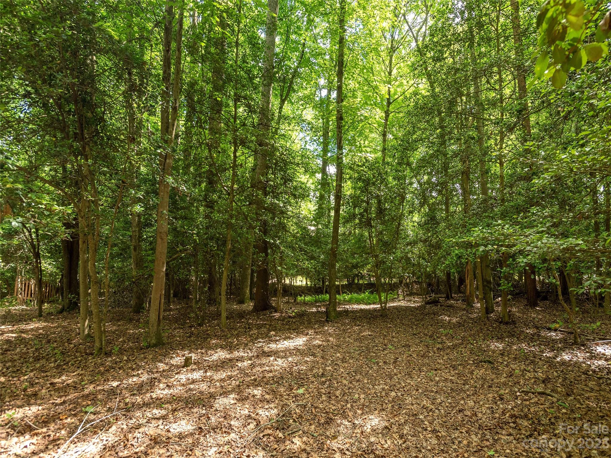 1983 Brevard Road Arden NC 28704