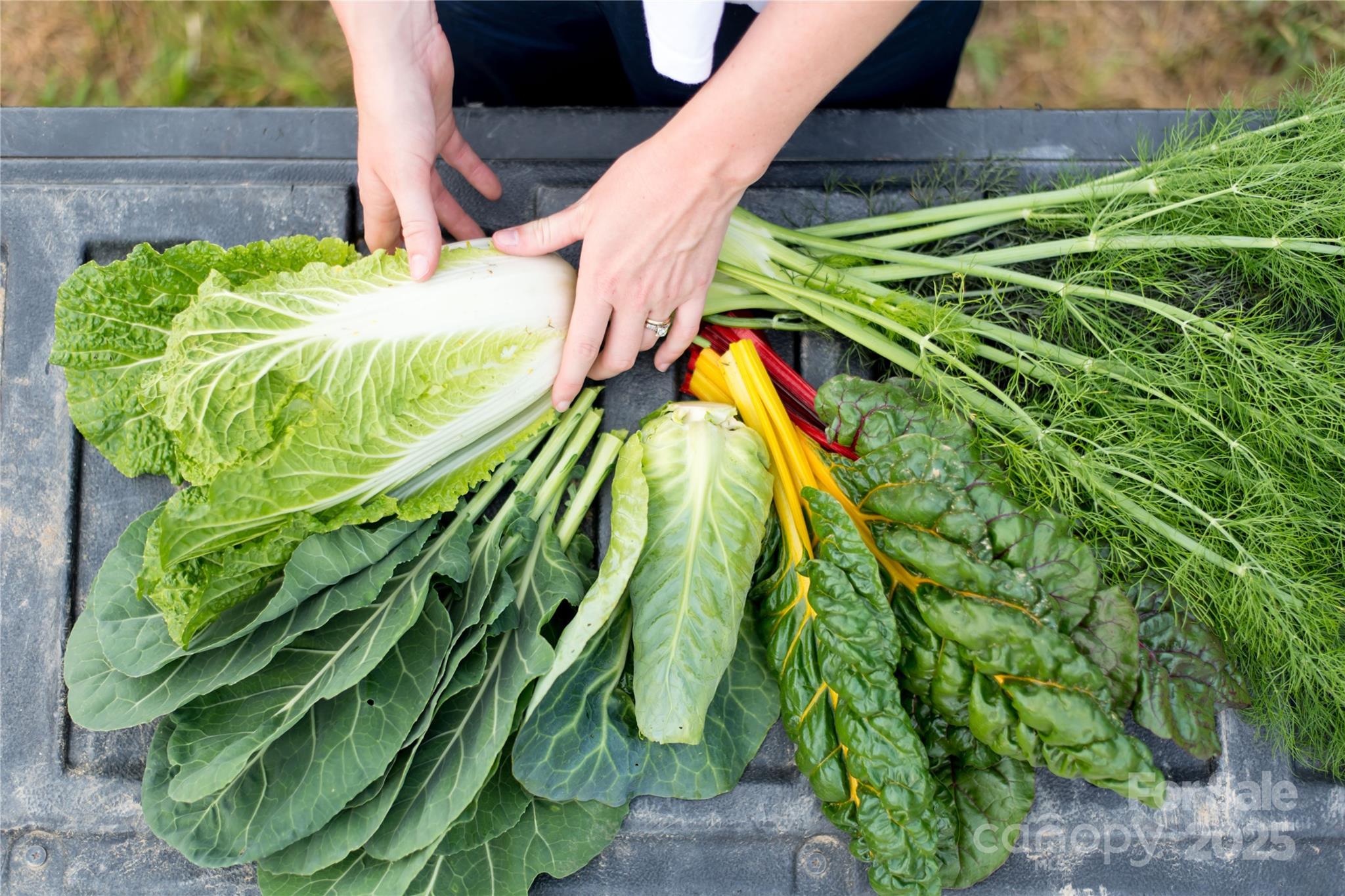 202 Westridge Farm Road Asheville NC 28804