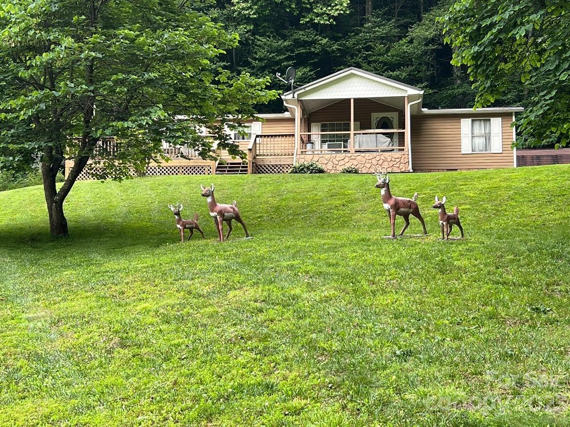2632 Atoah Road Robbinsville NC 28771