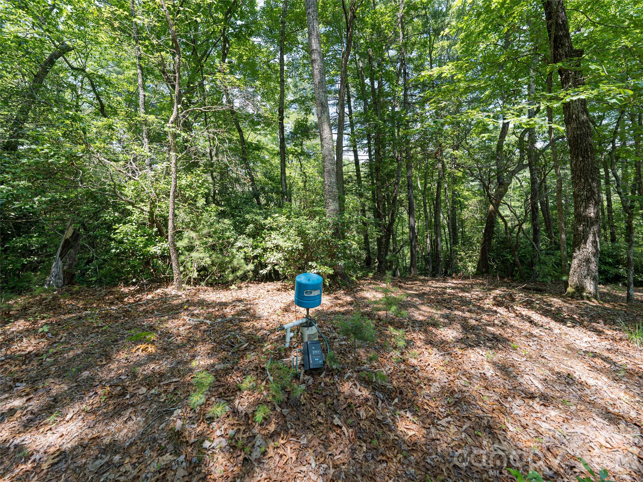 1000 Sutton Creek Road Pisgah Forest NC 28768