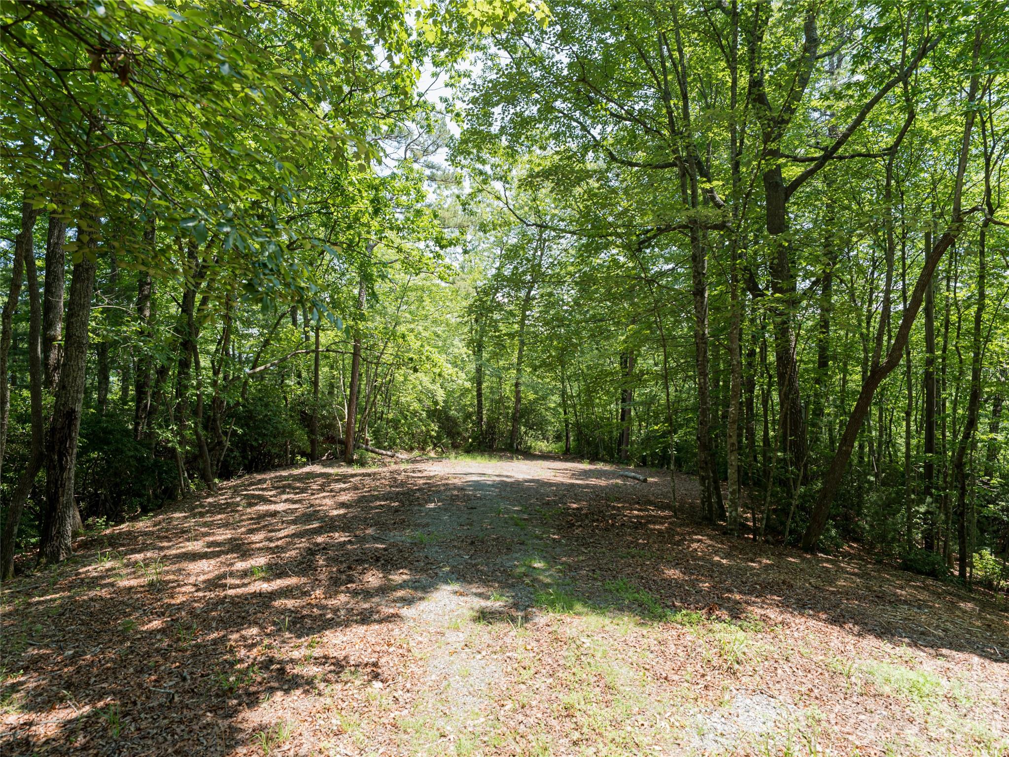 1000 Sutton Creek Road Pisgah Forest NC 28768