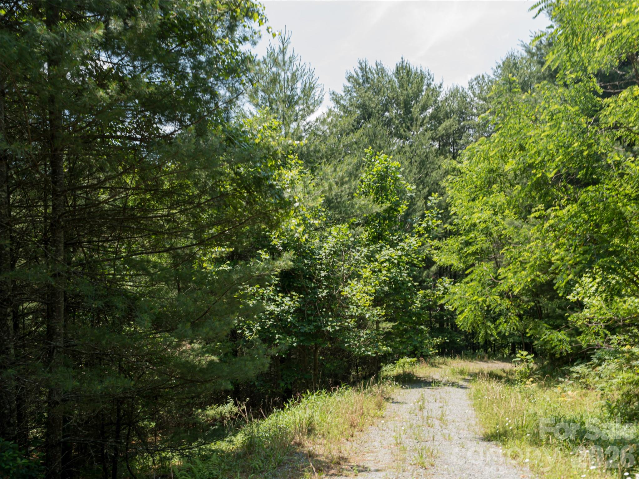1000 Sutton Creek Road Pisgah Forest NC 28768
