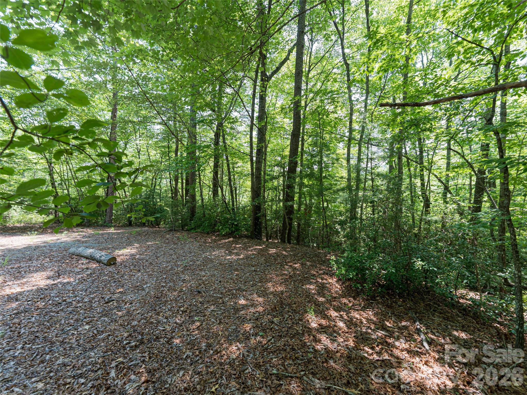 1000 Sutton Creek Road Pisgah Forest NC 28768