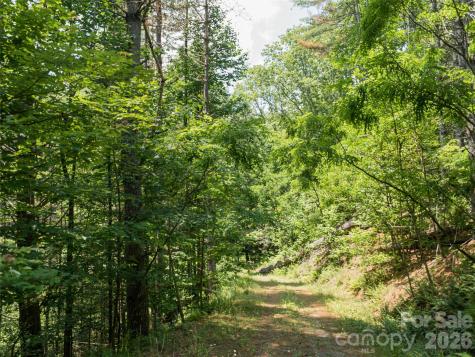 1000 Sutton Creek Road Pisgah Forest NC 28768