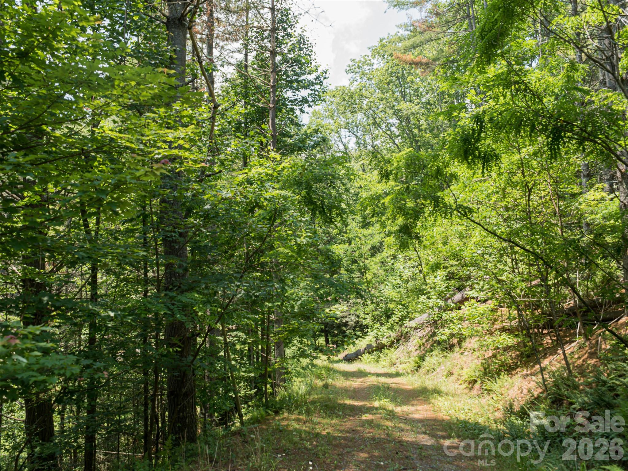 1000 Sutton Creek Road Pisgah Forest NC 28768
