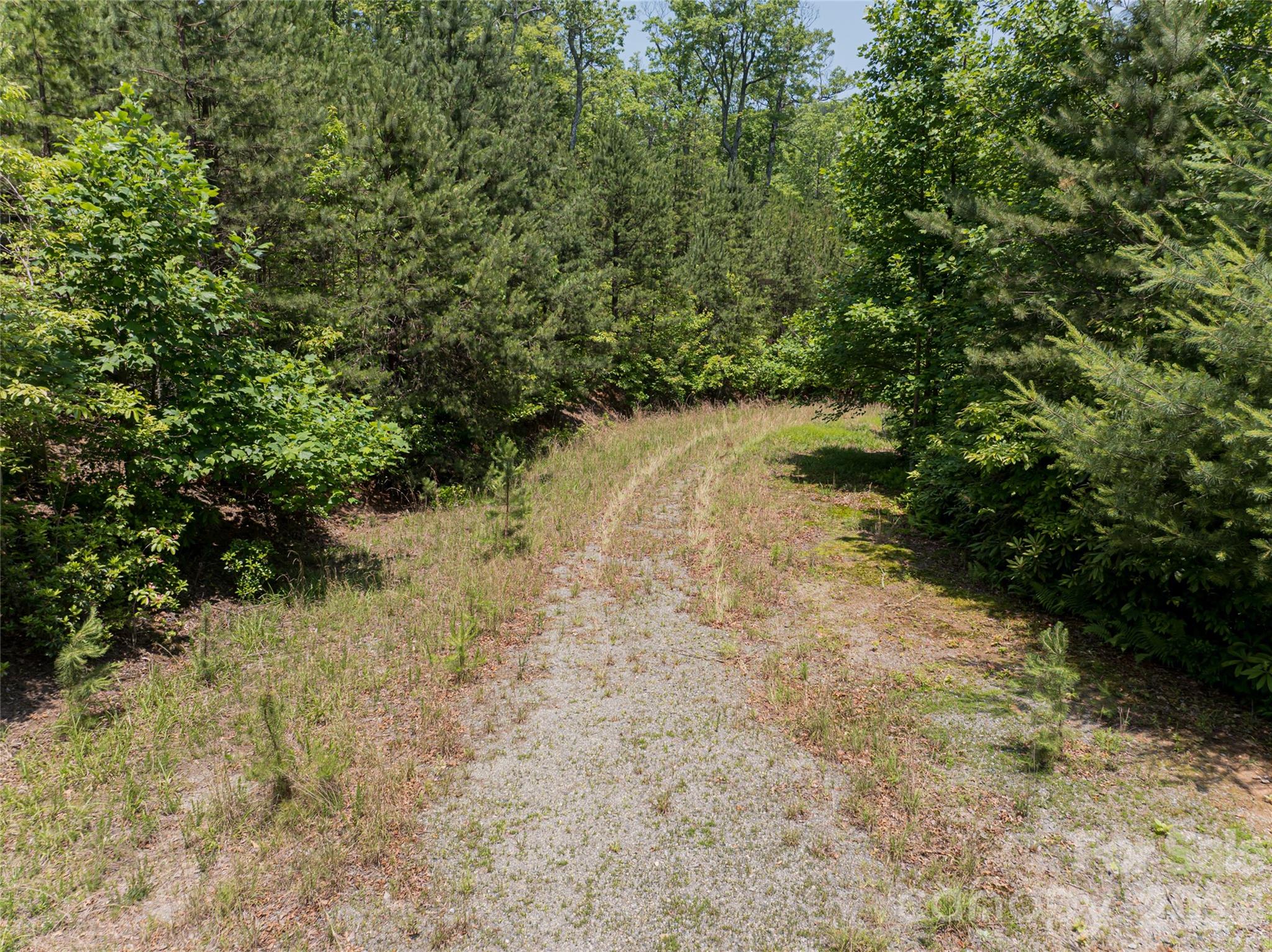 1000 Sutton Creek Road Pisgah Forest NC 28768