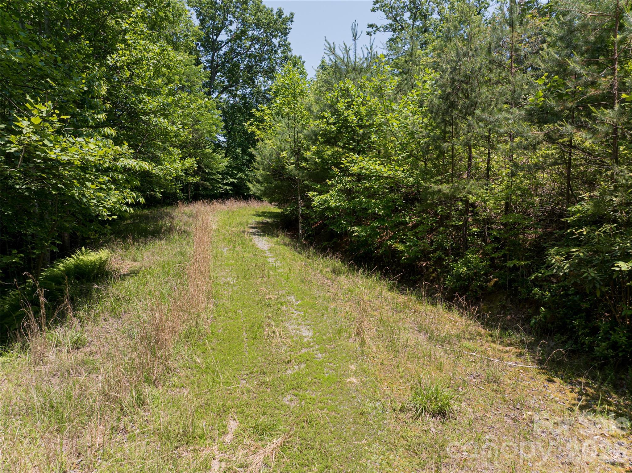 1000 Sutton Creek Road Pisgah Forest NC 28768