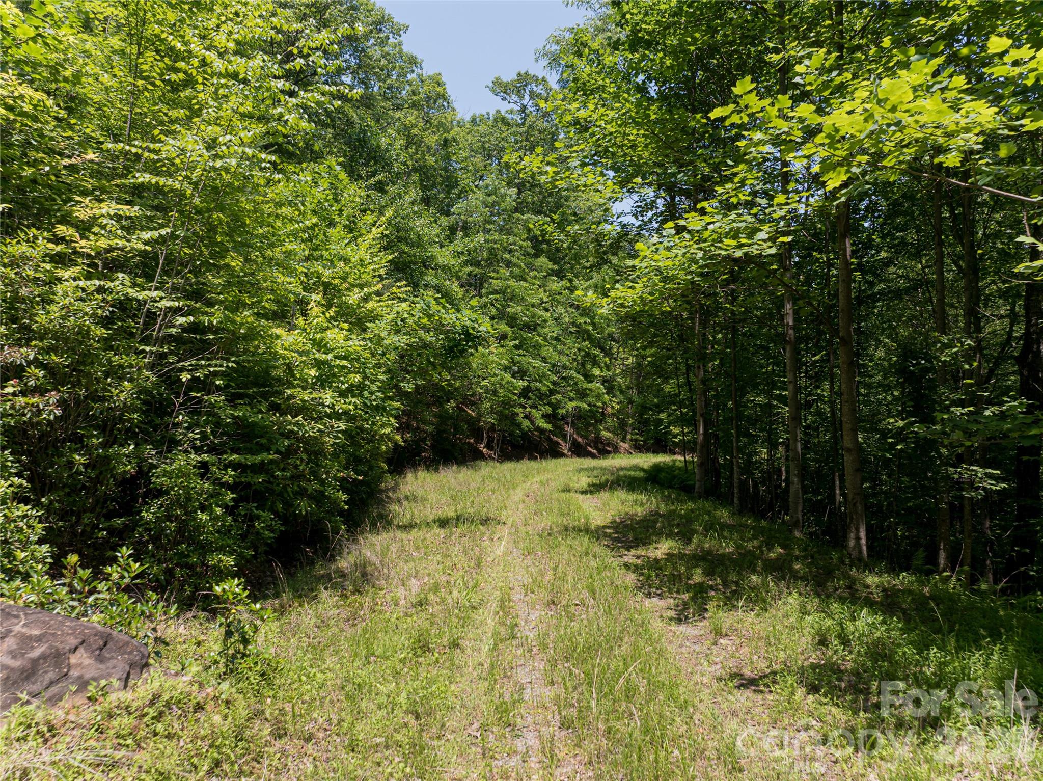1000 Sutton Creek Road Pisgah Forest NC 28768