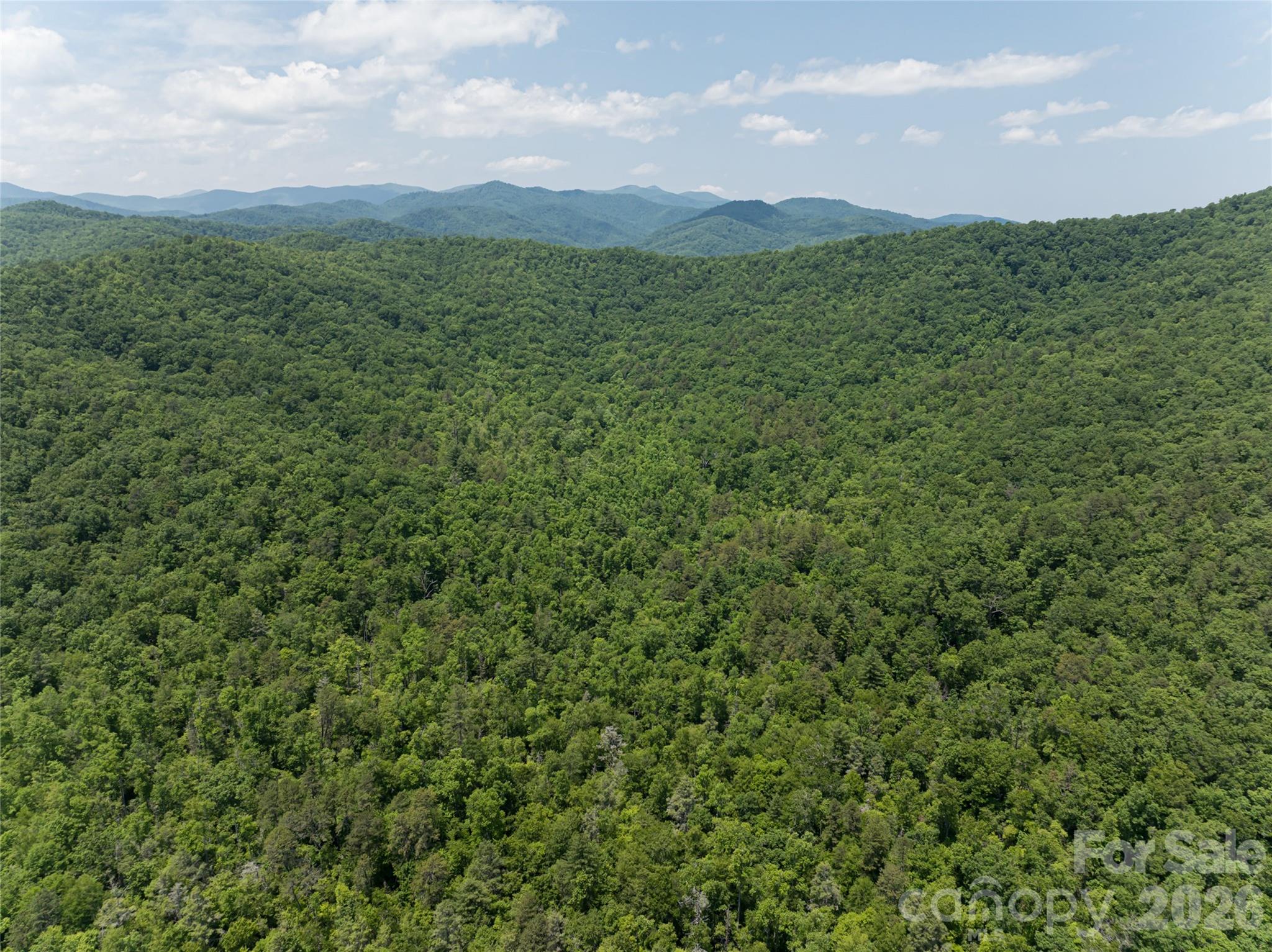 1000 Sutton Creek Road Pisgah Forest NC 28768