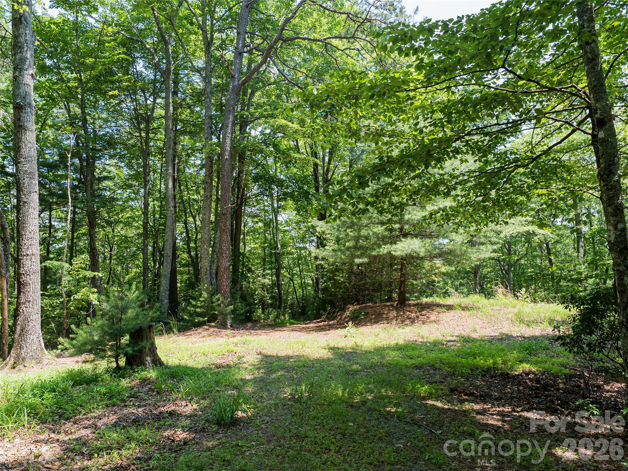 1000 Sutton Creek Road Pisgah Forest NC 28768